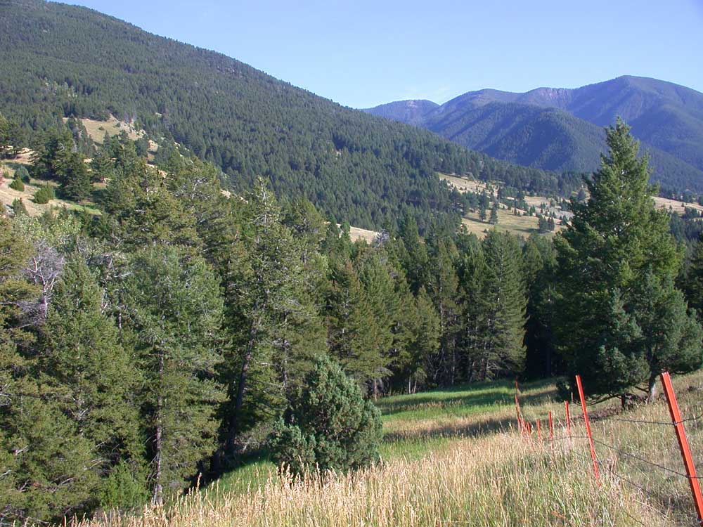 FWP Wildlife Management Area Detail