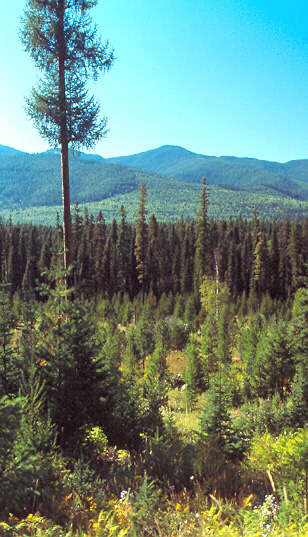 North Swan Valley