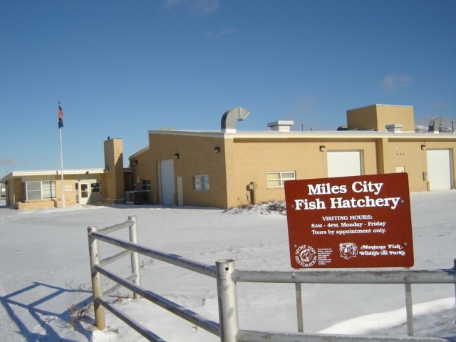 Miles City Fish Hatchery