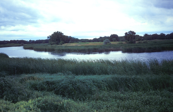 Tampico Ranch CE