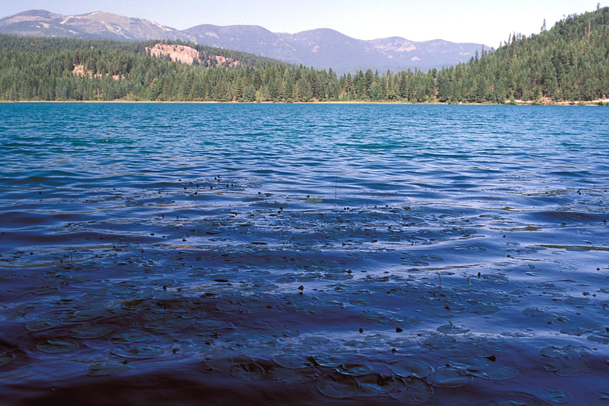 FWP Fishing Access Site Detail