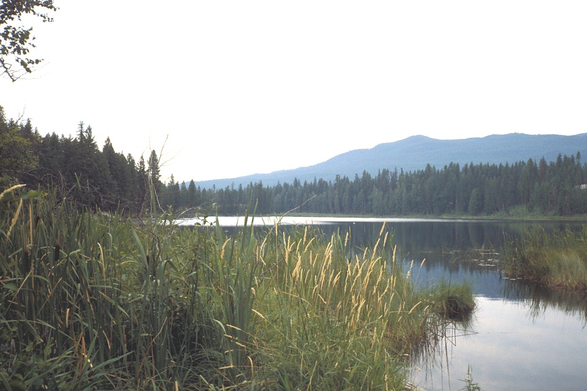 FWP Fishing Access Site Detail