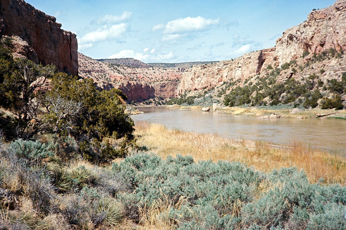 Bighorn Viewing Site