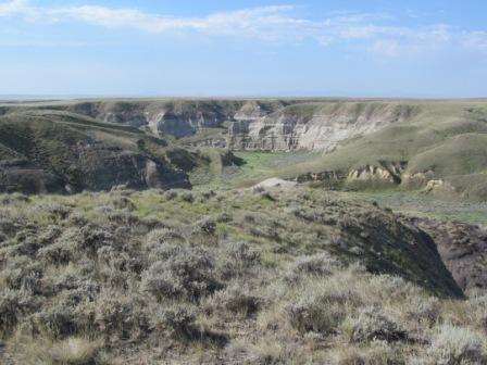 Spring Coulee
