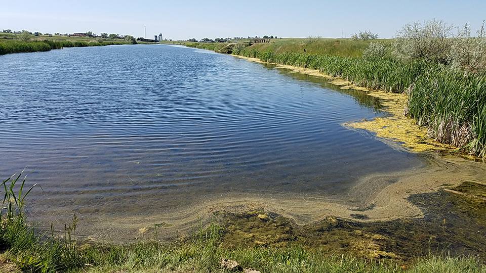 Broadview Pond