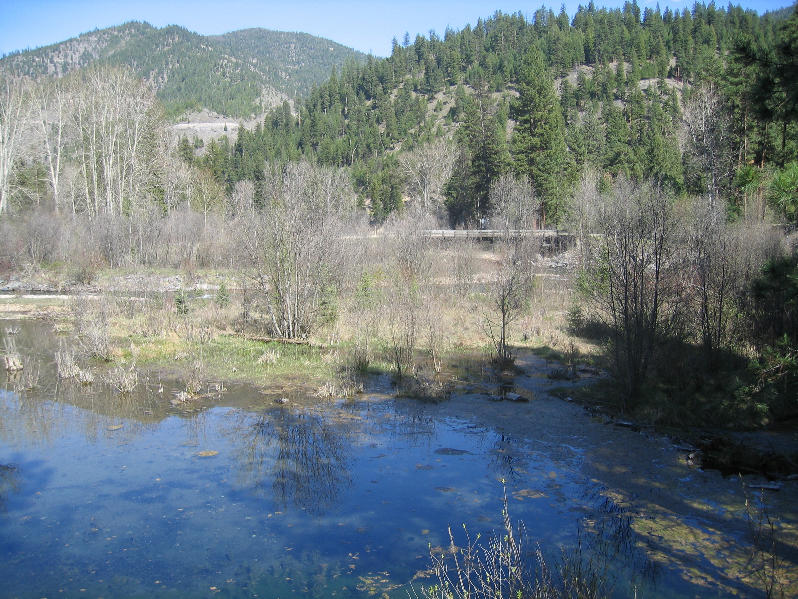 Forks